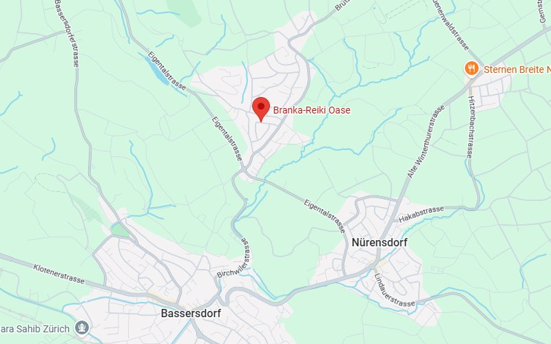 Karte mit dem Standort der Praxis in Birchwil